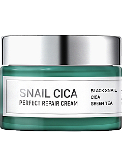 Esthetic House Snail Cica Perfect Repair Cream - Крем для лица с муцином улитки и центеллы 50 мл